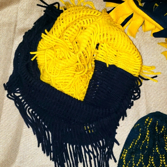 💙💛 University Of Michigan Wolverines Fan Bundle - Picture 2 of 10